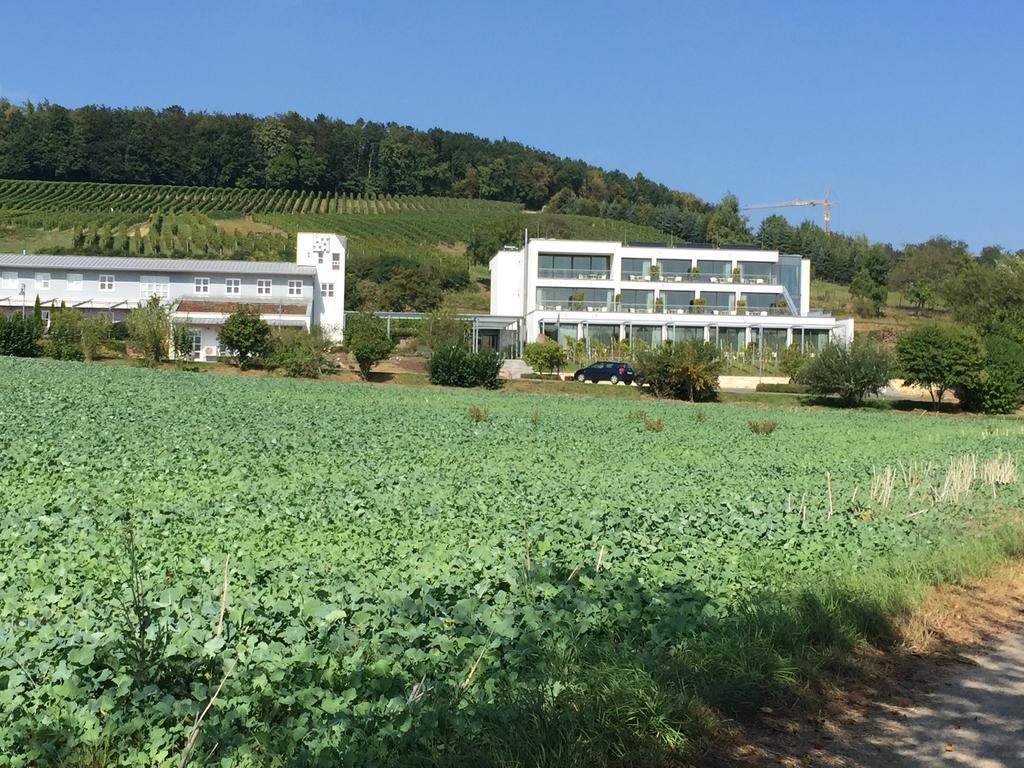Hotel Heitlinger Hof Tiefenbach  Exterior foto